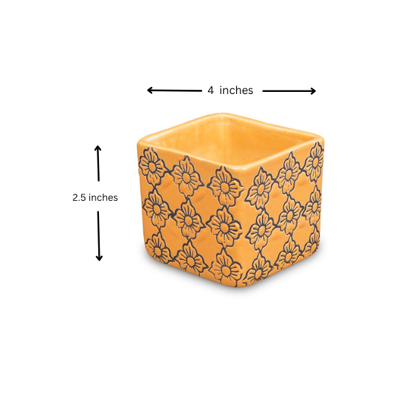 Cubical Pot