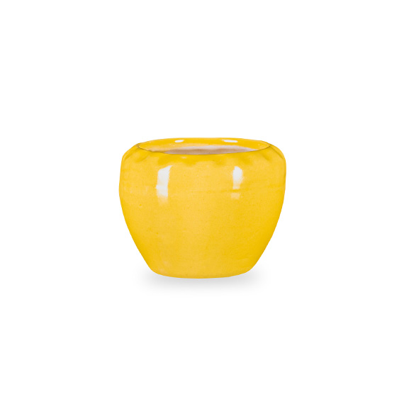 Cup Pot