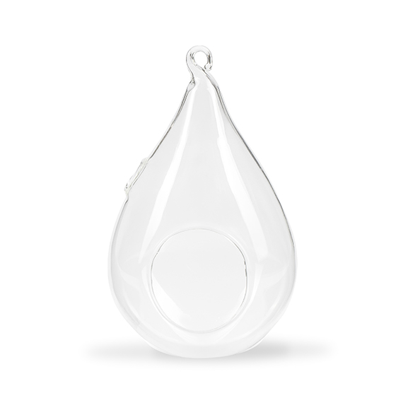 Teardrop Hanging Terrarium Glass Planter