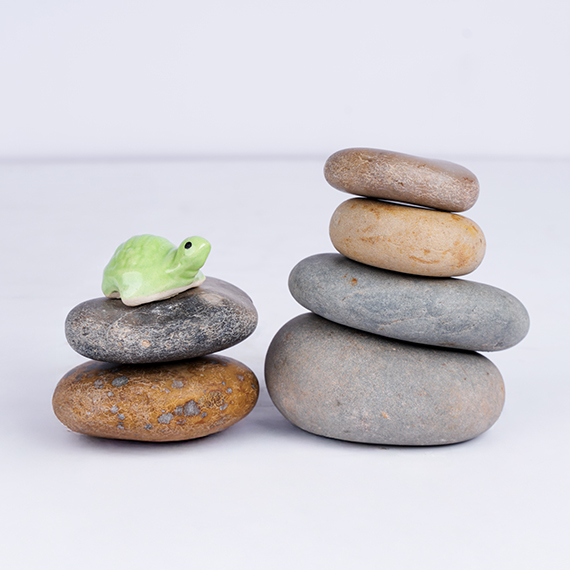 Natural Flat Premium Pebbles