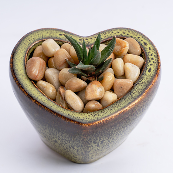 Natural Golden Pebbles