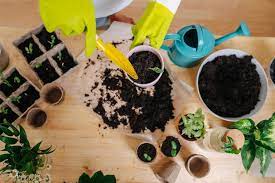 🌿 Gardening Advice – Nurture Nature, Grow with Ease